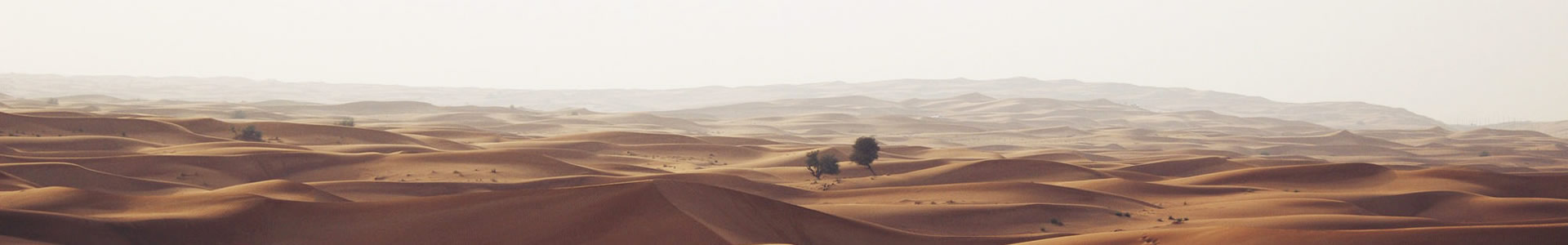 ֣ϱ黯޹˾